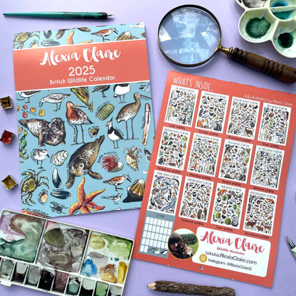 2025 British Wildlife Wall Calendar