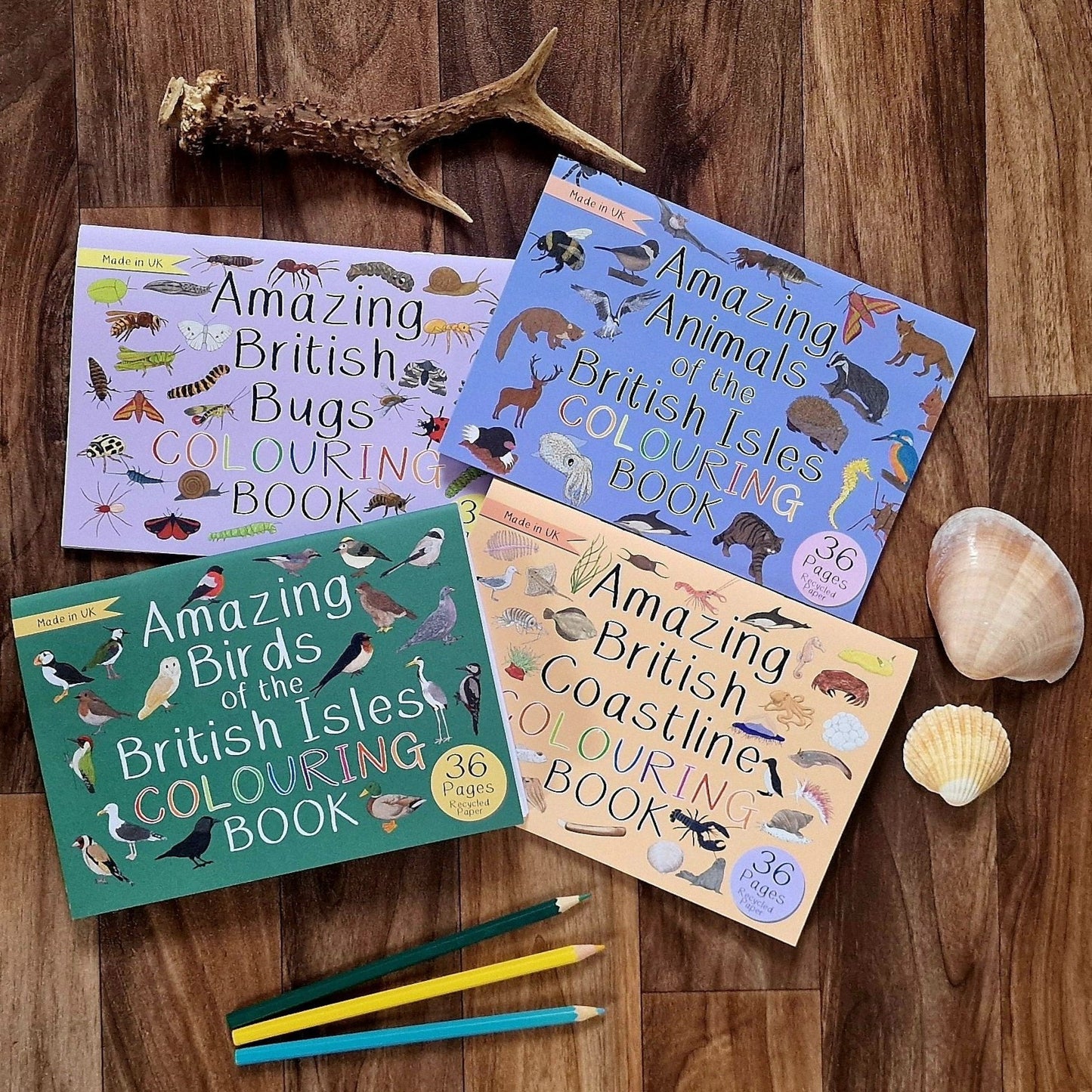 British Wildlife Colouring Bundle