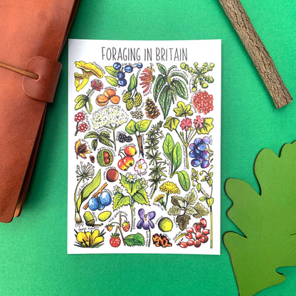 'Foraging in Britain' Blank Postcard