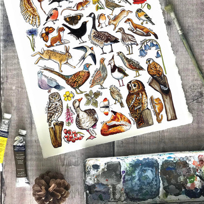 'Farmland Wildlife of Britain' Blank Postcard