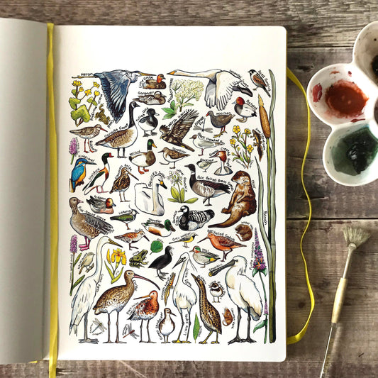 'Wetlands Wildlife of Britain' Blank Postcard