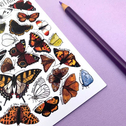 'Butterflies of Britain' Blank Postcard