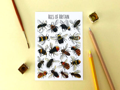 'Bees of Britain' Blank Postcard