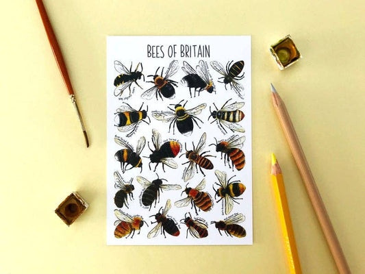 'Bees of Britain' Blank Postcard