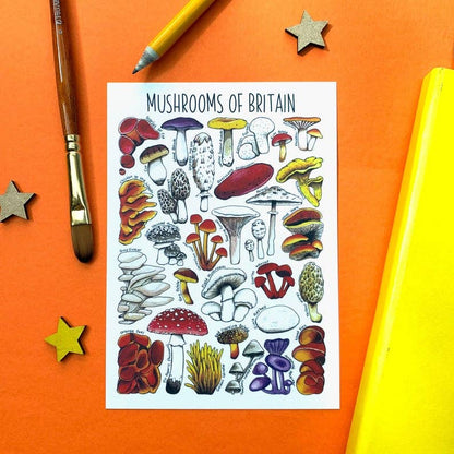 'Mushrooms of Britain' Blank Postcard